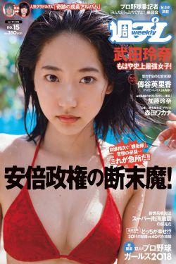 胜女的代价 电视剧